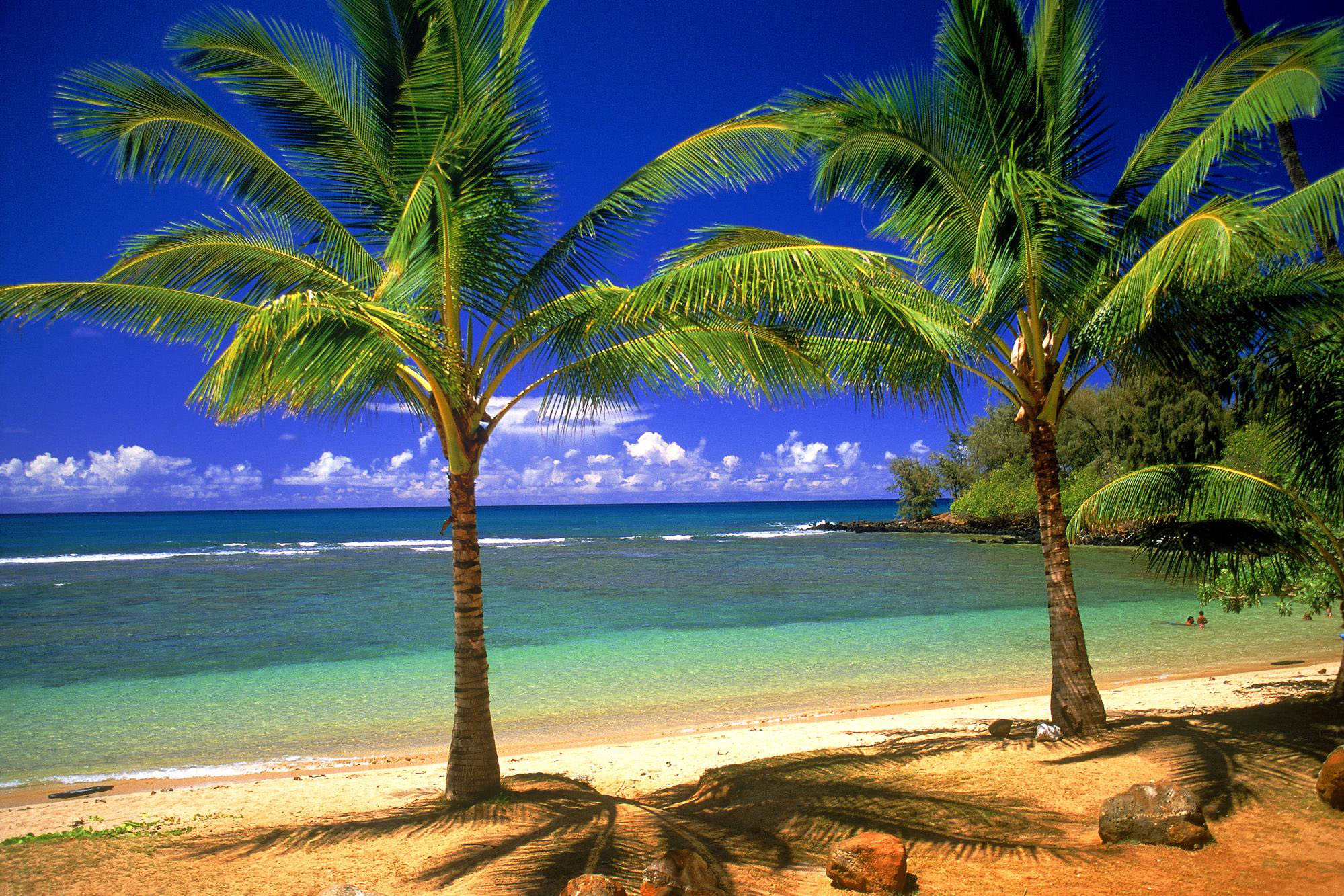 1920 x 1080 HD Wallpapers 2927